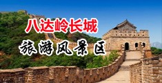 一区日本操逼视频中国北京-八达岭长城旅游风景区